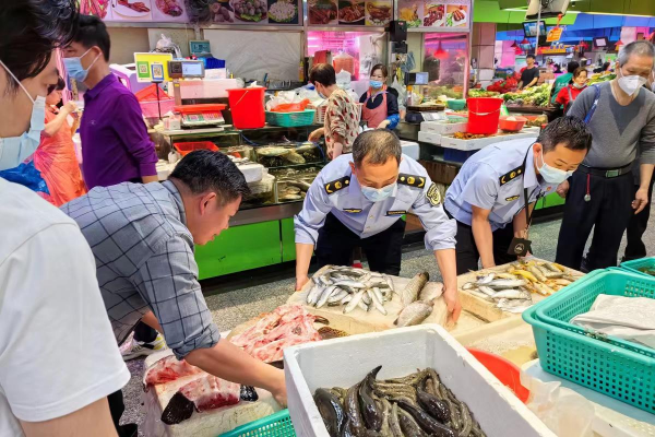 麻将赌博
南山局南山所全员奋战一线推动农贸市场创文工作.jpg